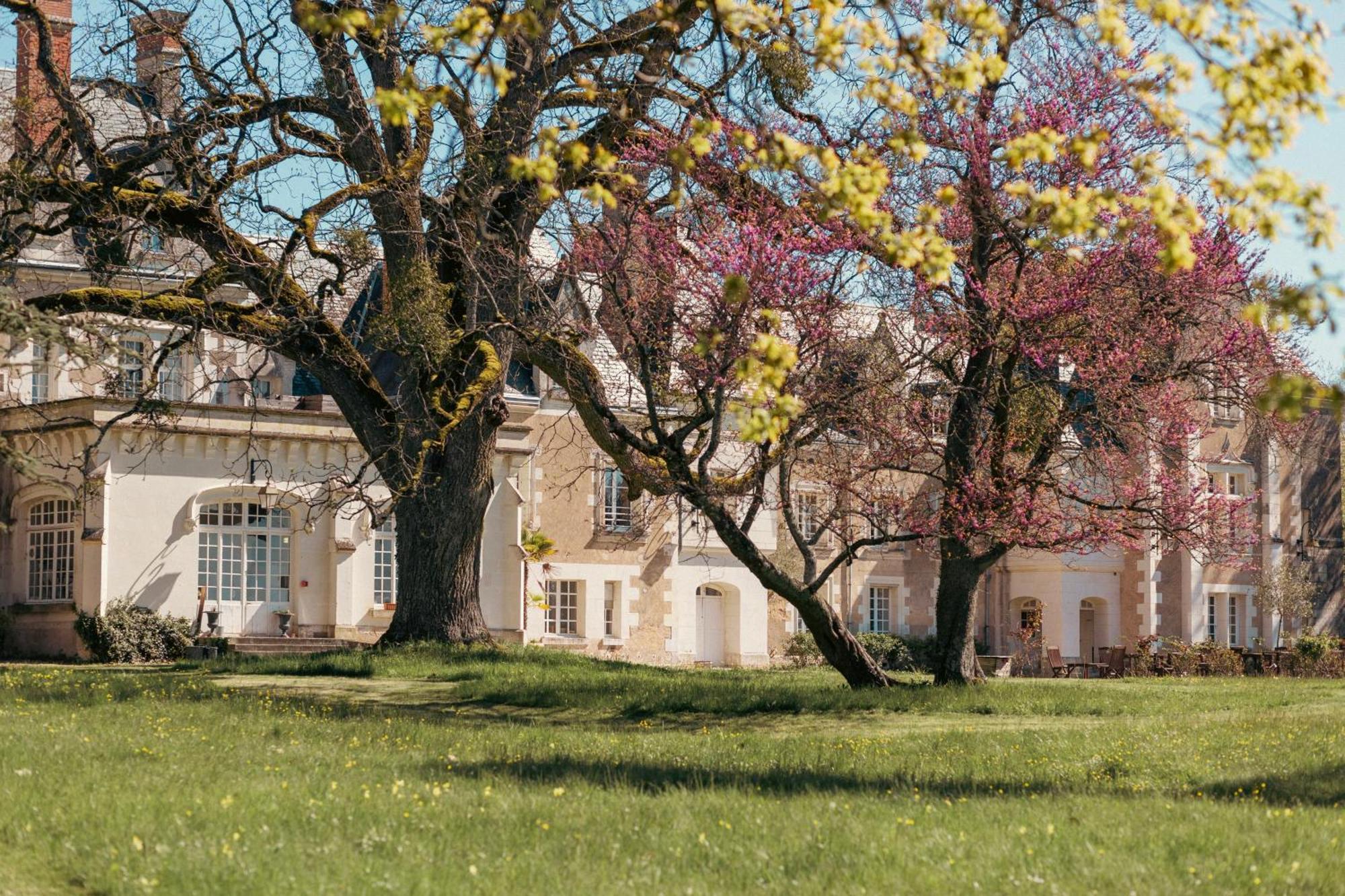 Chateau De Razay Cere-la-Ronde Bagian luar foto